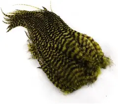 Whiting Bugger Pack Grizzly Gold Olive Lange fj&#230;r med naturlig tapering