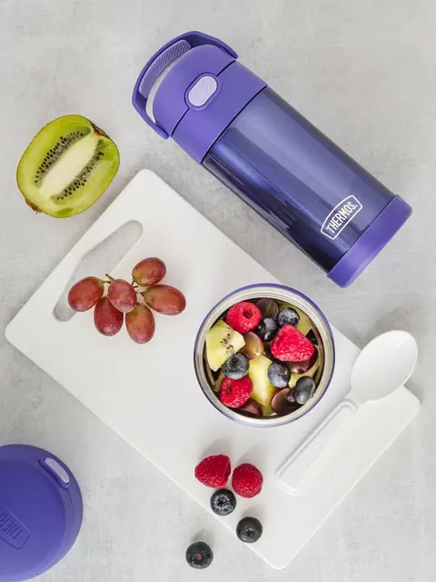 Thermos Funtainer Mattermos Violet 290ml Mattermos til barn og mindre porsjoner 
