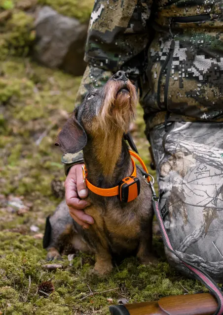 Tracker Bark Fremtidsrettet GPS-hundepeiler med 4G 
