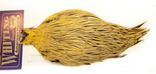 Whiting Am. Rooster Cape - Golden Badger