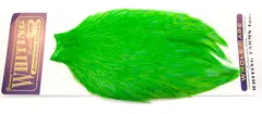 Whiting Am. Rooster Cape - Highlander Gr (White Dyed/Highlander Green)