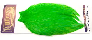 Whiting Am. Rooster Cape - Highlander Gr (White Dyed/Highlander Green)