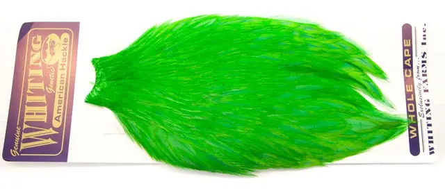 Whiting Am. Rooster Cape - Highlander Gr (White Dyed/Highlander Green) 