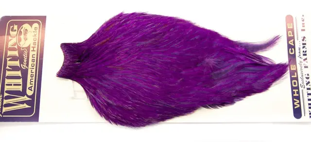 Whiting Am. Rooster Cape - Purple (White Dyed) 