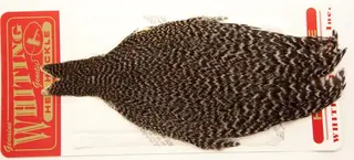 Whiting Hen Cape - Grizzly