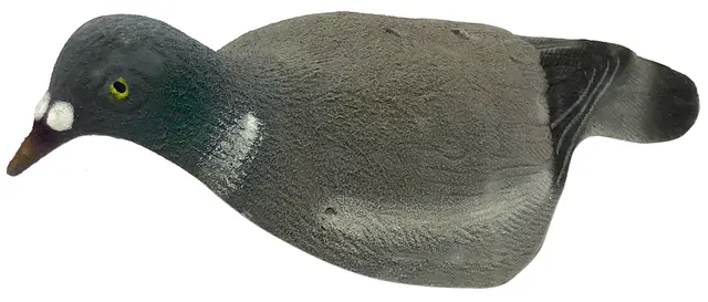 UKSW lokkefugl due skall med Flock Dueskall med Flock 