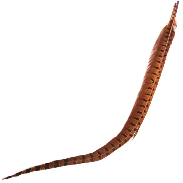 Cock Pheasant Centre Tail Fiery Brown Fasan senterhalefjær fra Veniard 