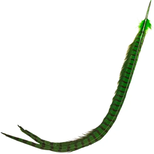 Cock Pheasant Centre Tail Green Highland Fasan senterhalefjær fra Veniard 