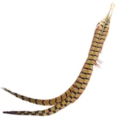 Cock Pheasant Centre Tail Natural Fasan senterhalefj&#230;r fra Veniard