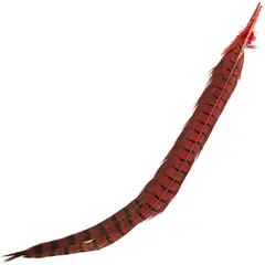 Cock Pheasant Centre Tail Red Fasan senterhalefj&#230;r fra Veniard