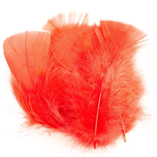 Ibis Substitute Ibis erstatning fra Veniard 