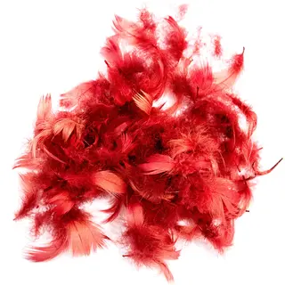 Indian Crow (erstatning) R&#248;dkr&#229;ke erstatning