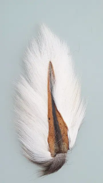 Veniard Bucktail Large Natural White Kvalitets hjortehale med lange fibre 