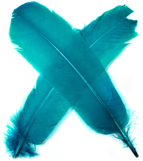 Turkey broad Wing Quill Dyed -  Blue Supert vingemateriale til laksefluer 