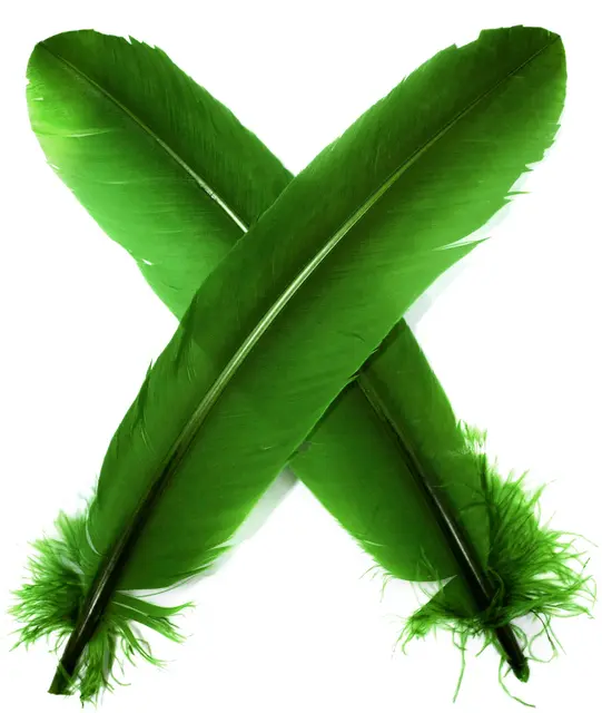 Turkey broad Wing Quill Dyed -  Green Supert vingemateriale til laksefluer 