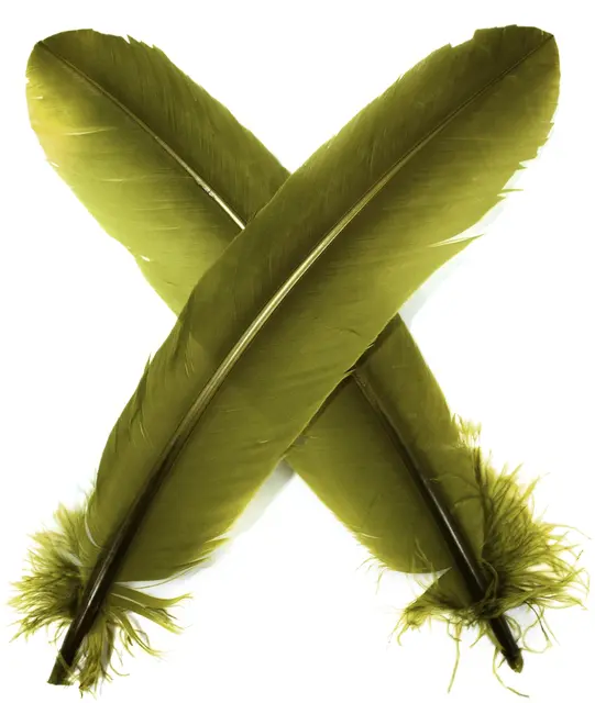 Turkey broad Wing Quill Dyed -  M. Olive Supert vingemateriale til laksefluer 