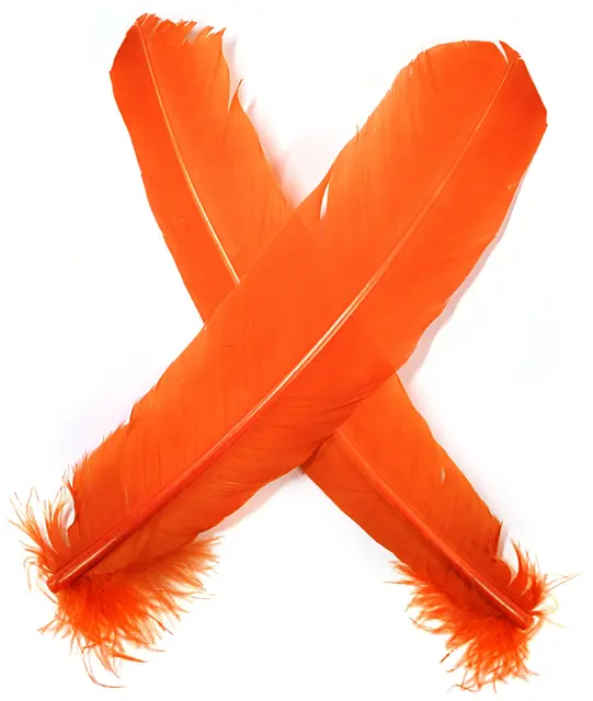 Turkey broad Wing Quill Dyed -  Orange Supert vingemateriale til laksefluer 