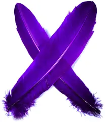 Turkey broad Wing Quill Dyed -  Purple Supert vingemateriale til laksefluer