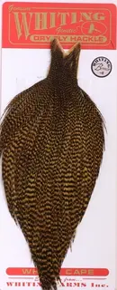 Whiting Dry Fly Cape - Grizzly/G.Olive Bronsegradering