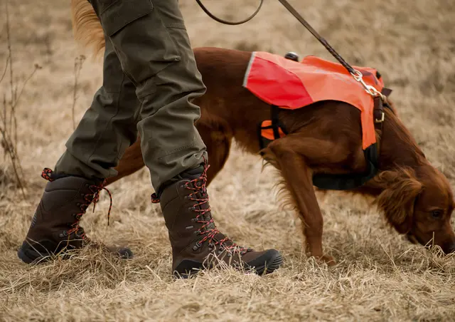 Viking Villrein De Luxe Tall GTX 36 Høy jaktstøvel med god komfort 