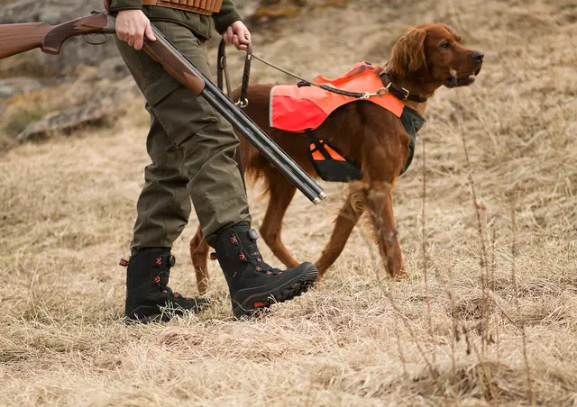 Viking Villrein High GTX BOA BlackRed 36 Høy jaktstøvel med god komfort 