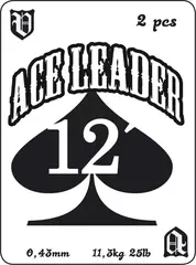 Vision Ace Leader 12&#39; 0,31mm 2pk