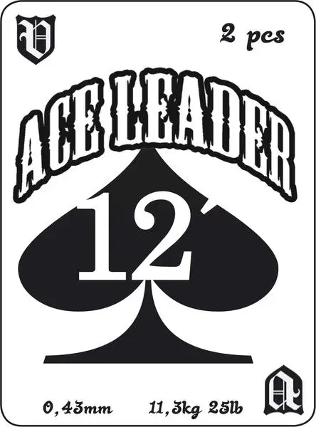 Vision Ace Leader 12' 0,31mm 2pk 