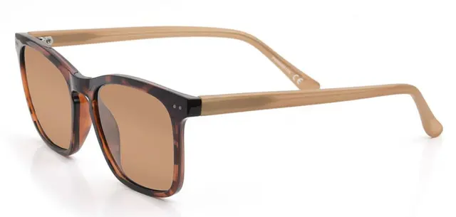 Vision Sir Brown solbriller Superb allround  linse i lyse forhold 