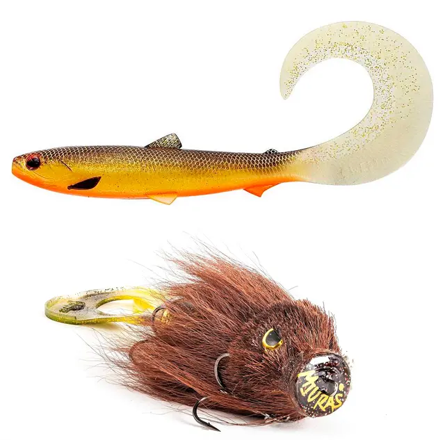 Miuras Mouse Big / Bullteez Curltail Peders supercombo 