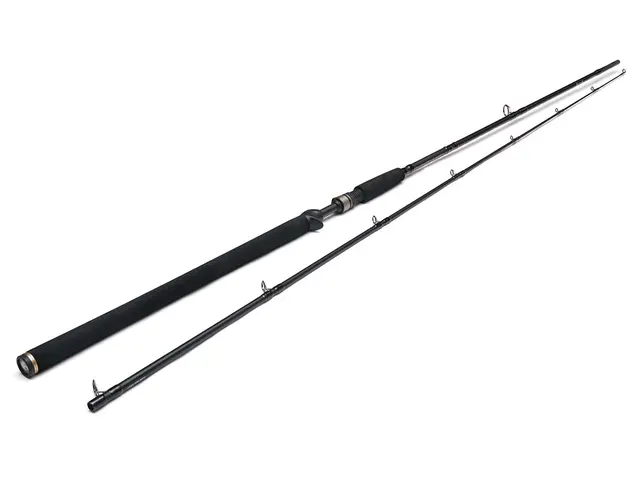 Westin W3 Powershad-T 2nd 8'3" 40-130g 2-delt 