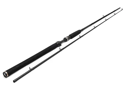 Westin W3 Jerkbait-T 2nd 6'6" 20-80g 2-delt, H 