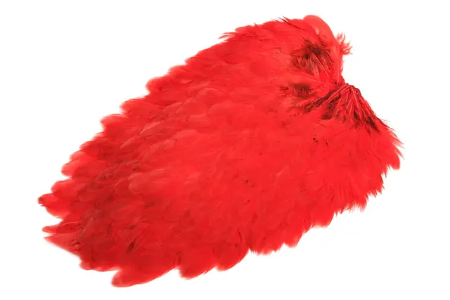Whiting 4B Hen Saddle Red Red hønesaddel 