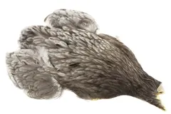 Whiting American Hen Cape Medium Dun