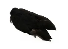 Whiting 4B Hen Cape Black