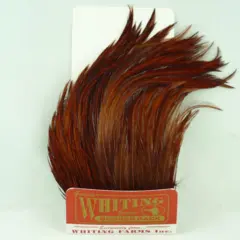 Whiting Bugger Pack Badger Grizzly Coach Lange fj&#230;r med naturlig tapering