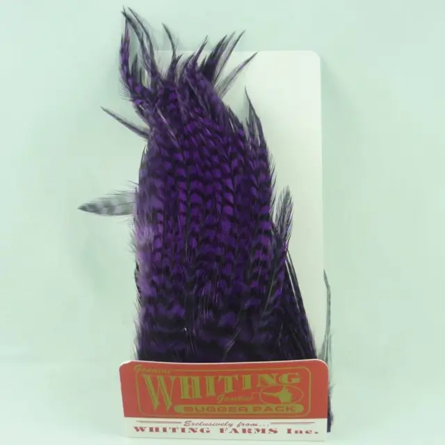 Whiting Bugger Pack Grizzly dyed Purple Lange fjær med naturlig tapering 