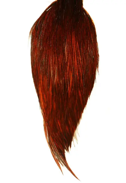 Whiting Dry Fly Saddle Coachman Brown Bronsegradering 