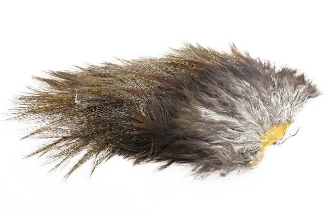 Whiting Coq De Leon Tailing Pack Dark Pardo 