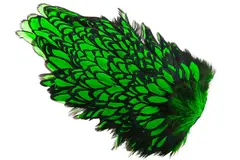 Whiting American Hen Cape Grizzly Highlander Green