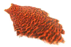 Whiting American Hen Cape Grizzly Orange