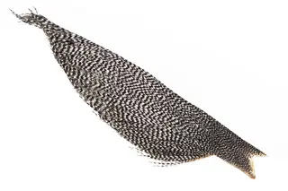 Whiting Dryfly Cape 1/2 Bronze Grade