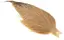 Whiting Dryfly Cape Pro Grade