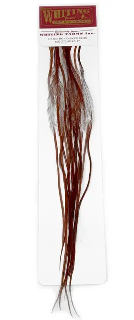 Whiting 100's Saddle Brown #18 Brown krok #18 