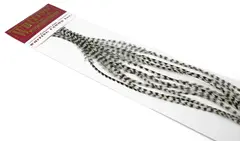 Whiting 100&#39;s Saddle Grizzly #8 Grizzly krok #8