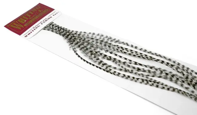 Whiting 100's Saddle Grizzly #8 Grizzly krok #8 