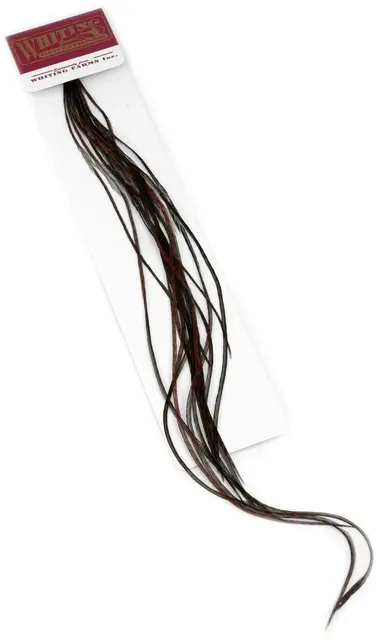 Whiting 100's Saddle Grizzly #16 Grizzly dyed Coachman Brown krok #16 