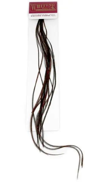 Whiting 100's Saddle Grizzly #16 Grizzly dyed Coachman Brown krok #16 