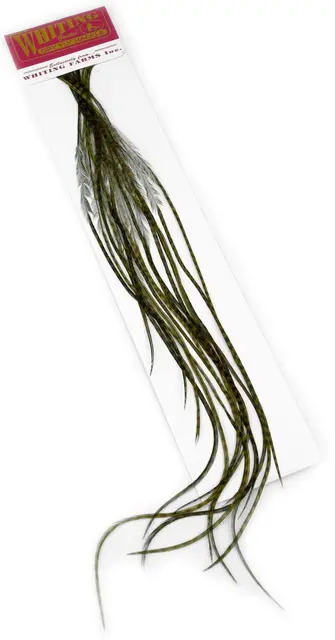 Whiting 100's Saddle Grizzly #14 Grizzly dyed Dark Olive krok #14 