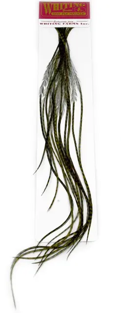 Whiting 100's Saddle Grizzly #14 Grizzly dyed Dark Olive krok #14 