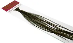 Whiting 100&#39;s Saddle Grizzly #14 Grizzly dyed Dark Olive krok #14
